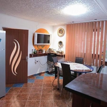 Vila Zeno Braşov Extérieur photo