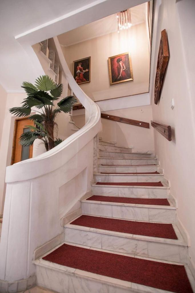 Vila Zeno Braşov Extérieur photo