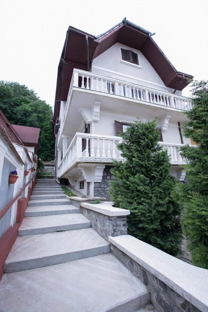 Vila Zeno Braşov Extérieur photo